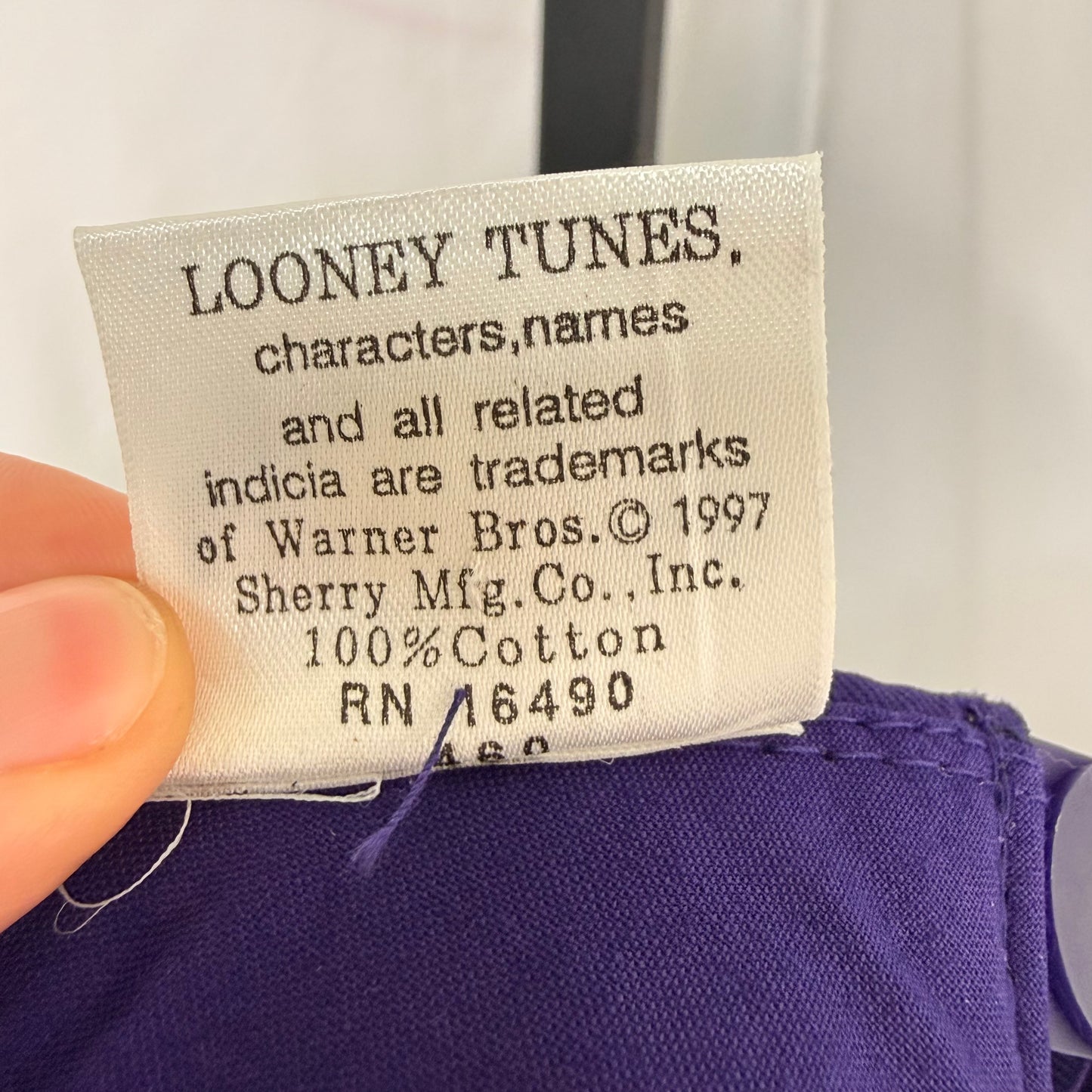 VTG | Tweety Bird Snapback