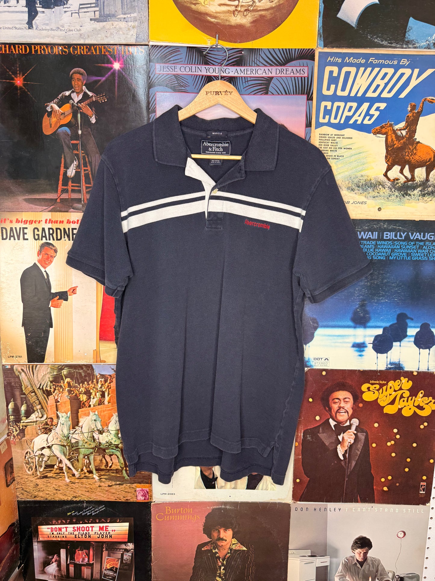 Abercrombie & Fitch Polo