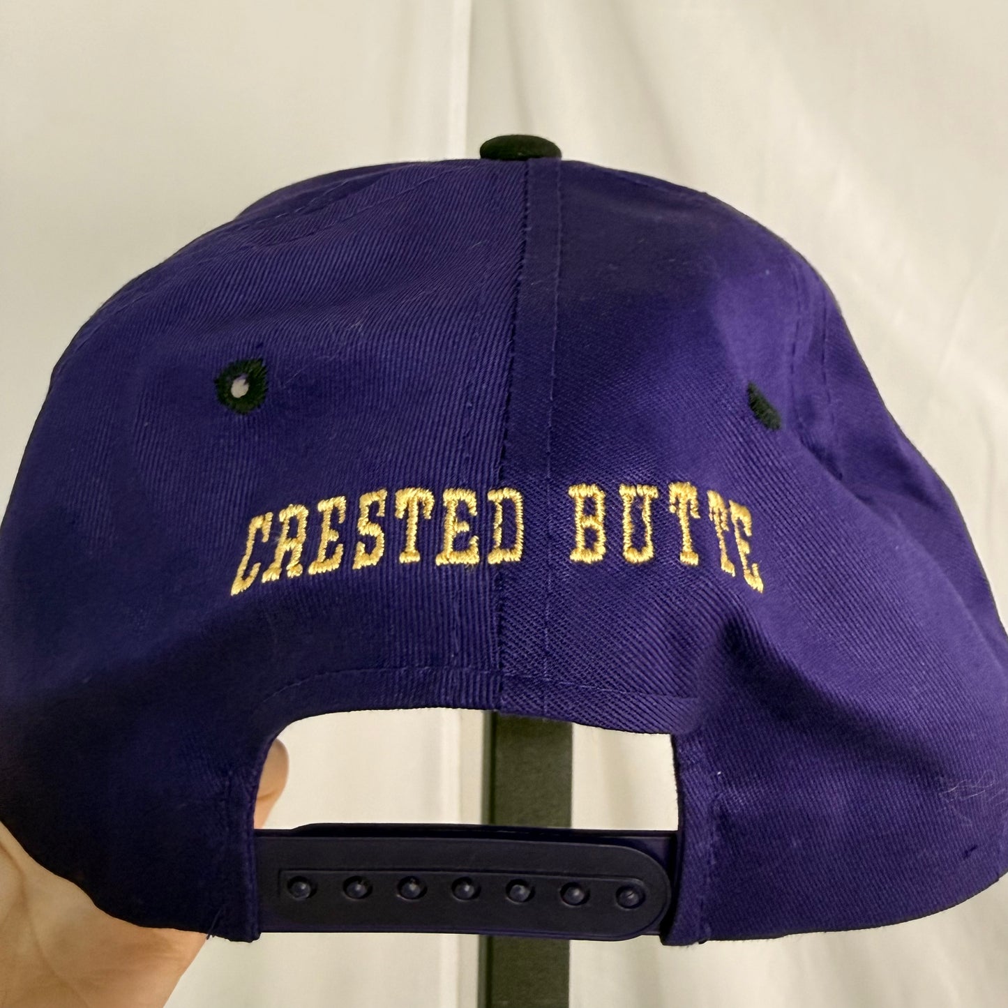 VTG | Tweety Bird Snapback